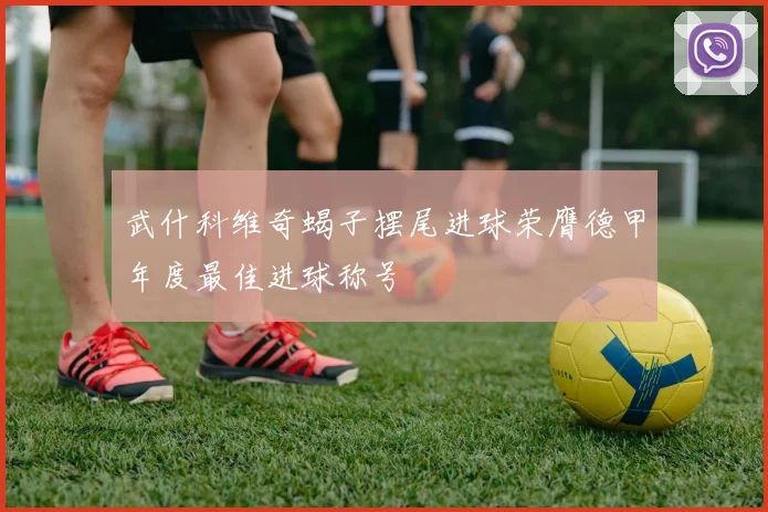 武什科维奇蝎子摆尾进球荣膺德甲年度最佳进球称号