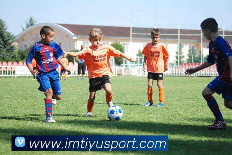 IM体育官平台生态图